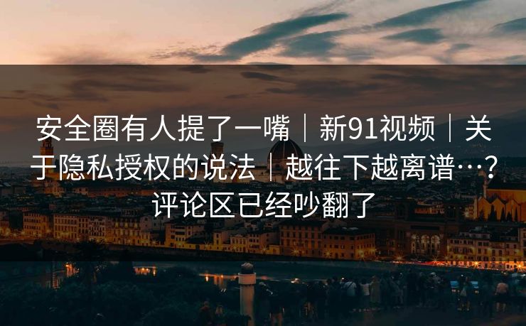 安全圈有人提了一嘴｜新91视频｜关于隐私授权的说法｜越往下越离谱…？评论区已经吵翻了