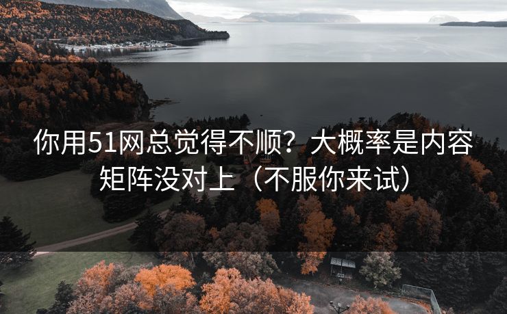 你用51网总觉得不顺？大概率是内容矩阵没对上（不服你来试）
