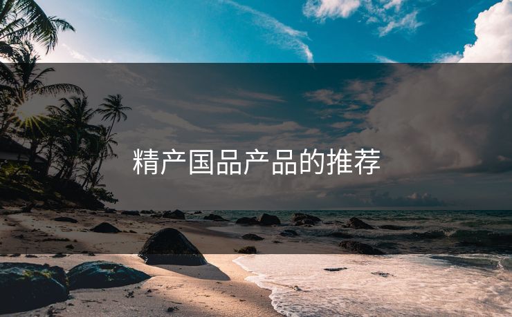 精产国品产品的推荐