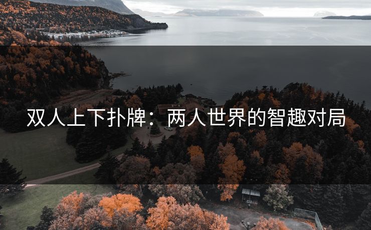 双人上下扑牌：两人世界的智趣对局
