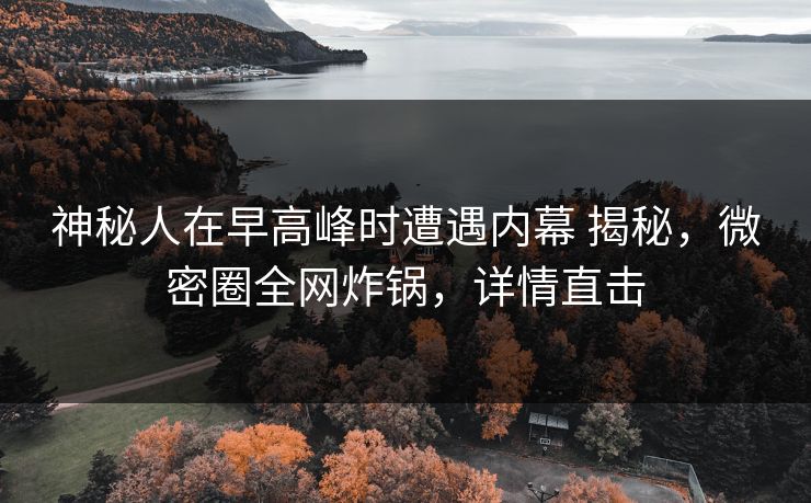 神秘人在早高峰时遭遇内幕 揭秘，微密圈全网炸锅，详情直击