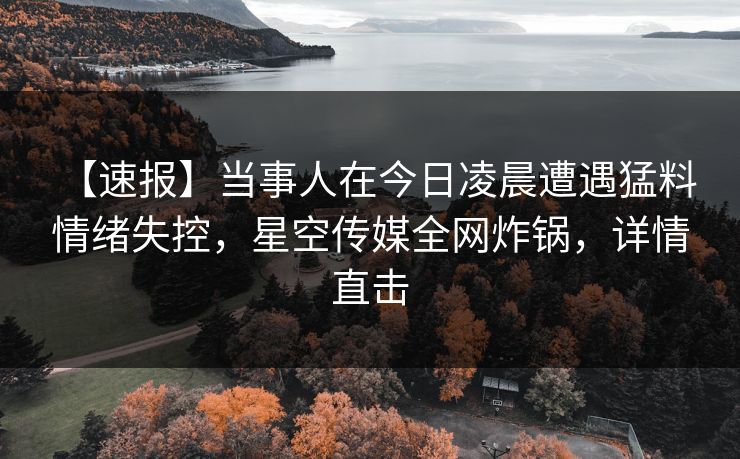 【速报】当事人在今日凌晨遭遇猛料 情绪失控，星空传媒全网炸锅，详情直击
