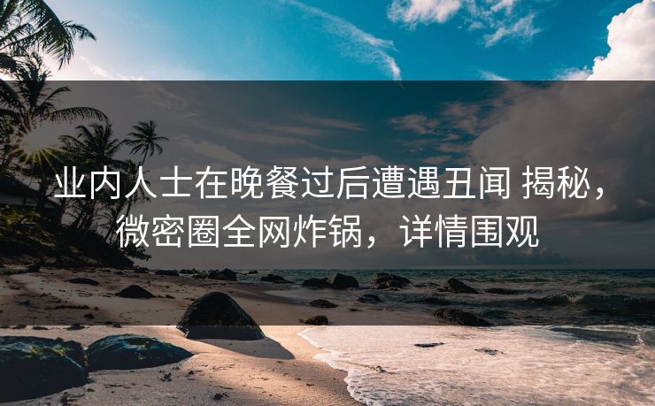 业内人士在晚餐过后遭遇丑闻 揭秘，微密圈全网炸锅，详情围观